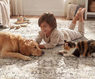 Pet-Friendly Rugs: How to Choose the Right Rug for Kids and Pets