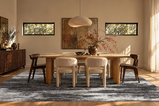 AMADA Area Rugs for Living Room