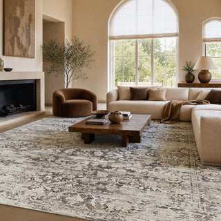 Amada 9x12 Washable Area Rug for Living Room, Beige, Vintage & Abstract