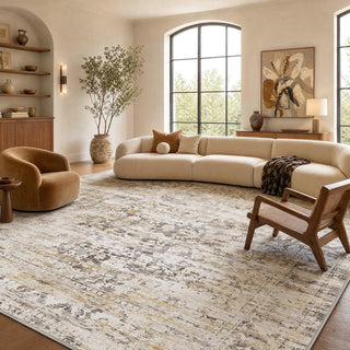 Amada 9x12 Washable Area Rug for Living Room, Beige, Vintage & Abstract