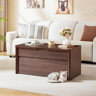 AMADA HOMEFURNISHING Lift Top Coffee Table with Storage, Walnut