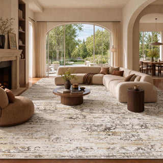 Amada 9x12 Washable Area Rug for Living Room, Beige, Vintage & Abstract