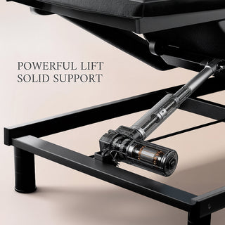 AMADA Flex T3 Triple-Motor Adjustable Base